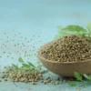 Coriander Seeds - Ayurvedic Herb That Packs a Medicinal Punch